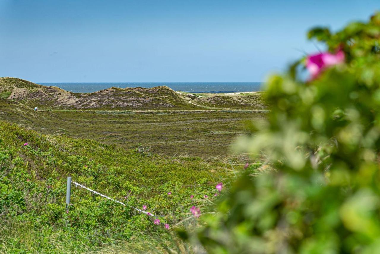 Inselblick Ferienhaus List auf Sylt